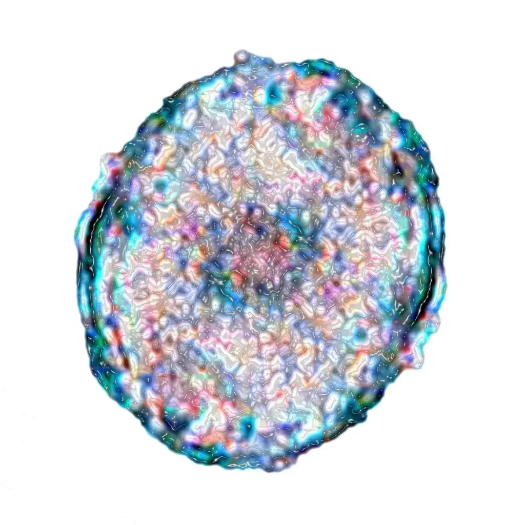  Stammzellentherapie: Welche Krankheiten können damit behandelt werden?