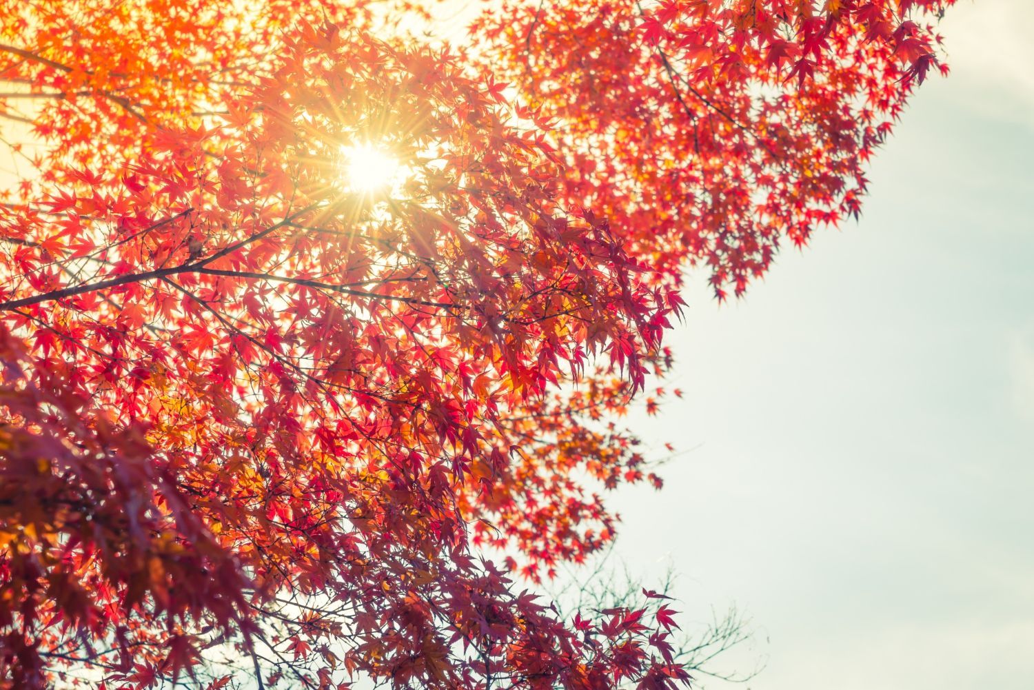 Herbst Vitamin D Mangel 