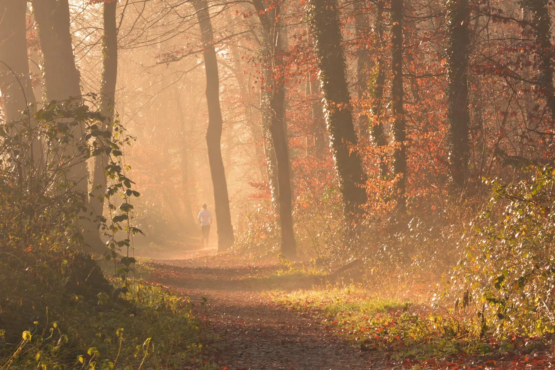 Outdoor-Training im Herbst