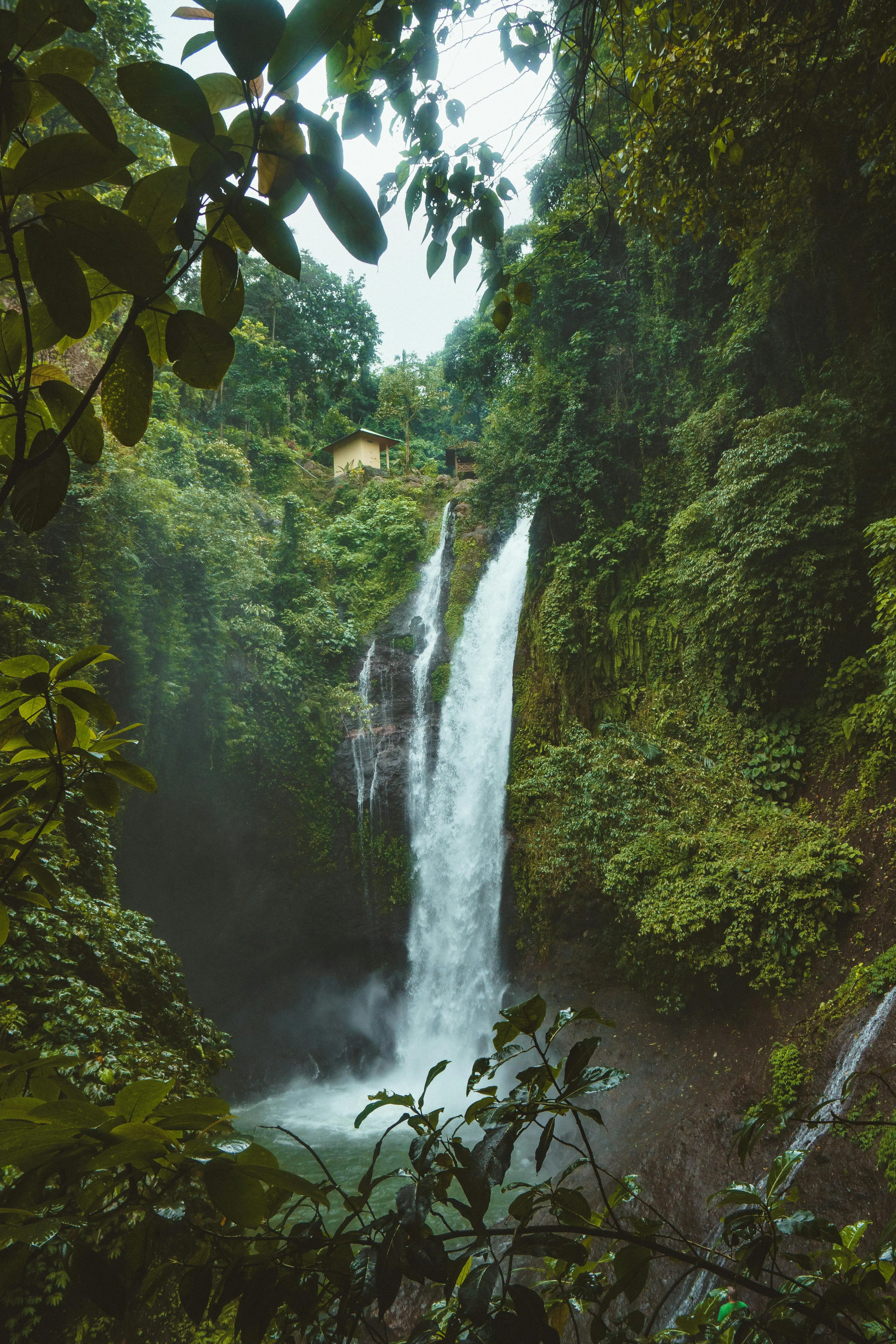 Tropischer Wasserfall