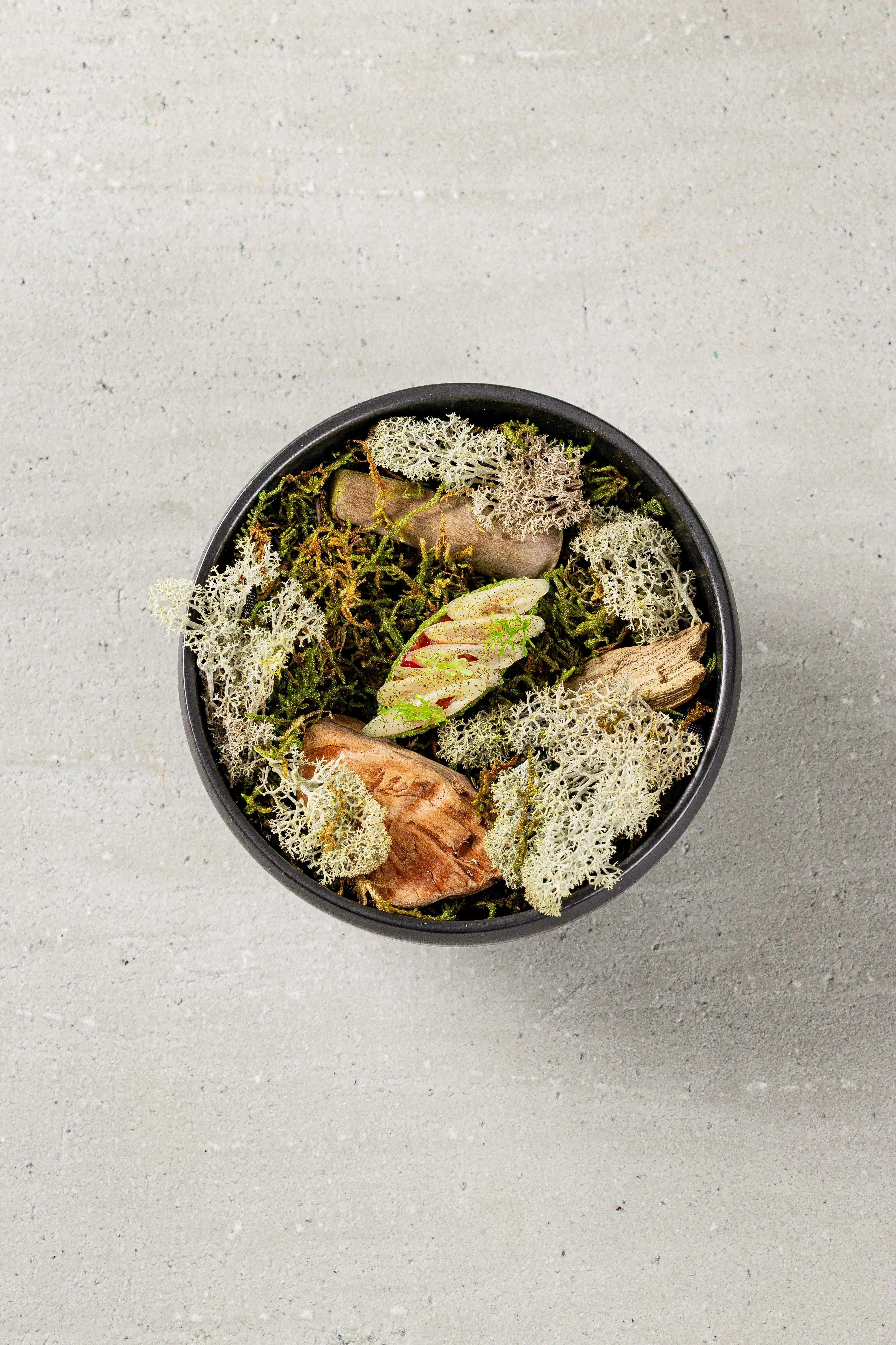 Bohnenkraut und Tatar Restaurant Rutz