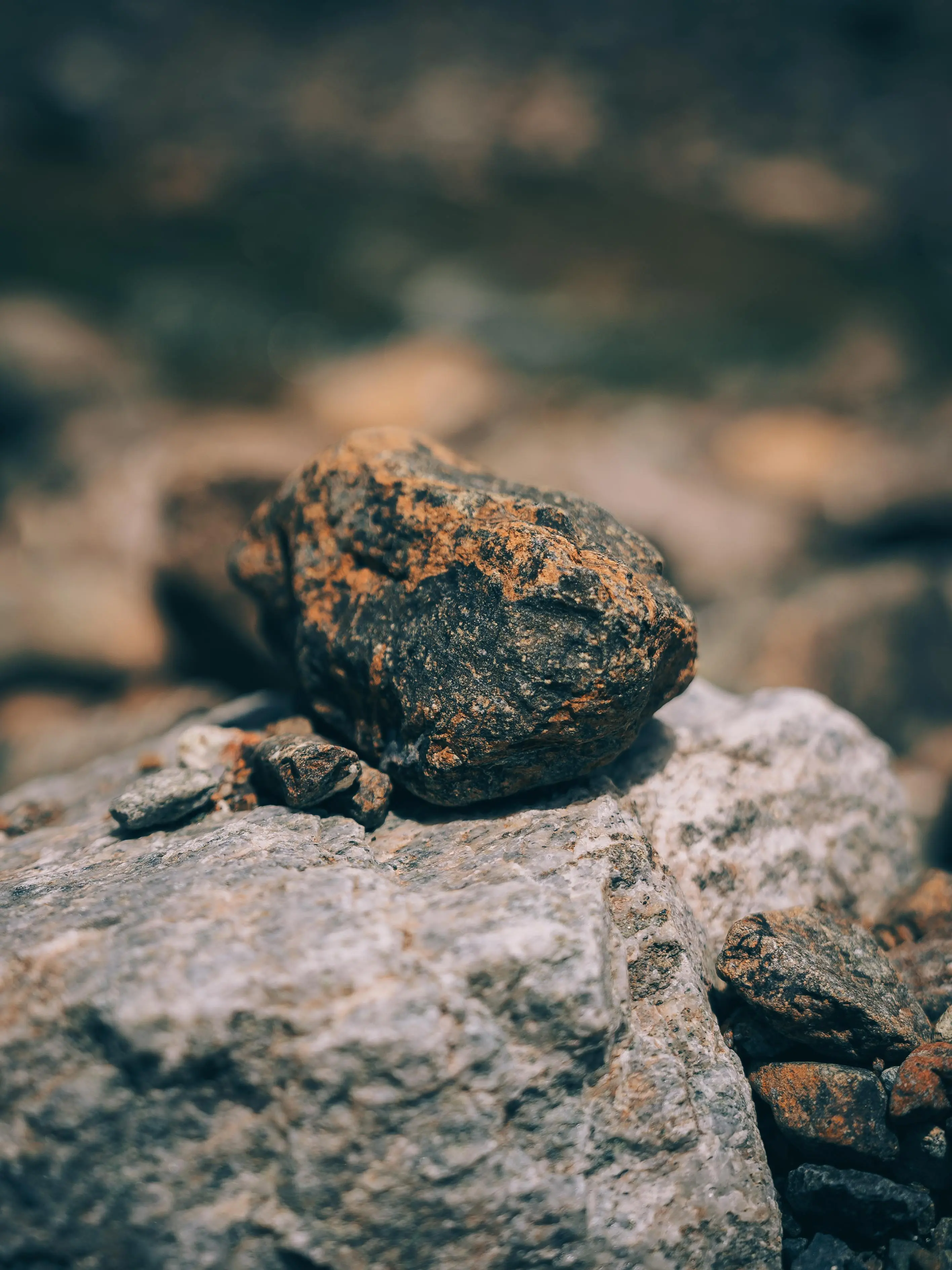 Shilajit 