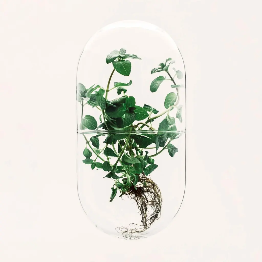 Von Microgreen bis Vegourmet: 5 nachhaltige Food-Trends