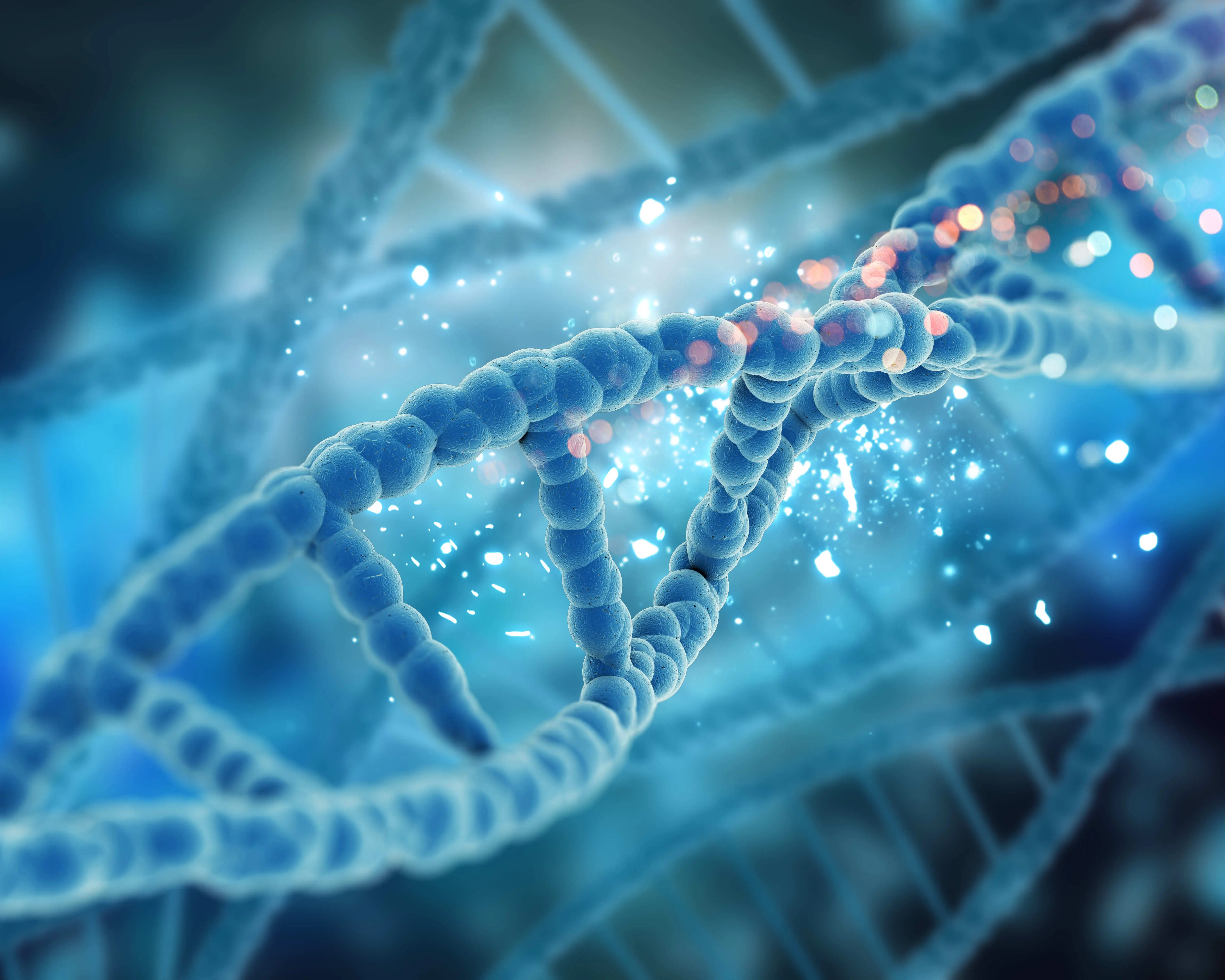 DNA beim Menschen