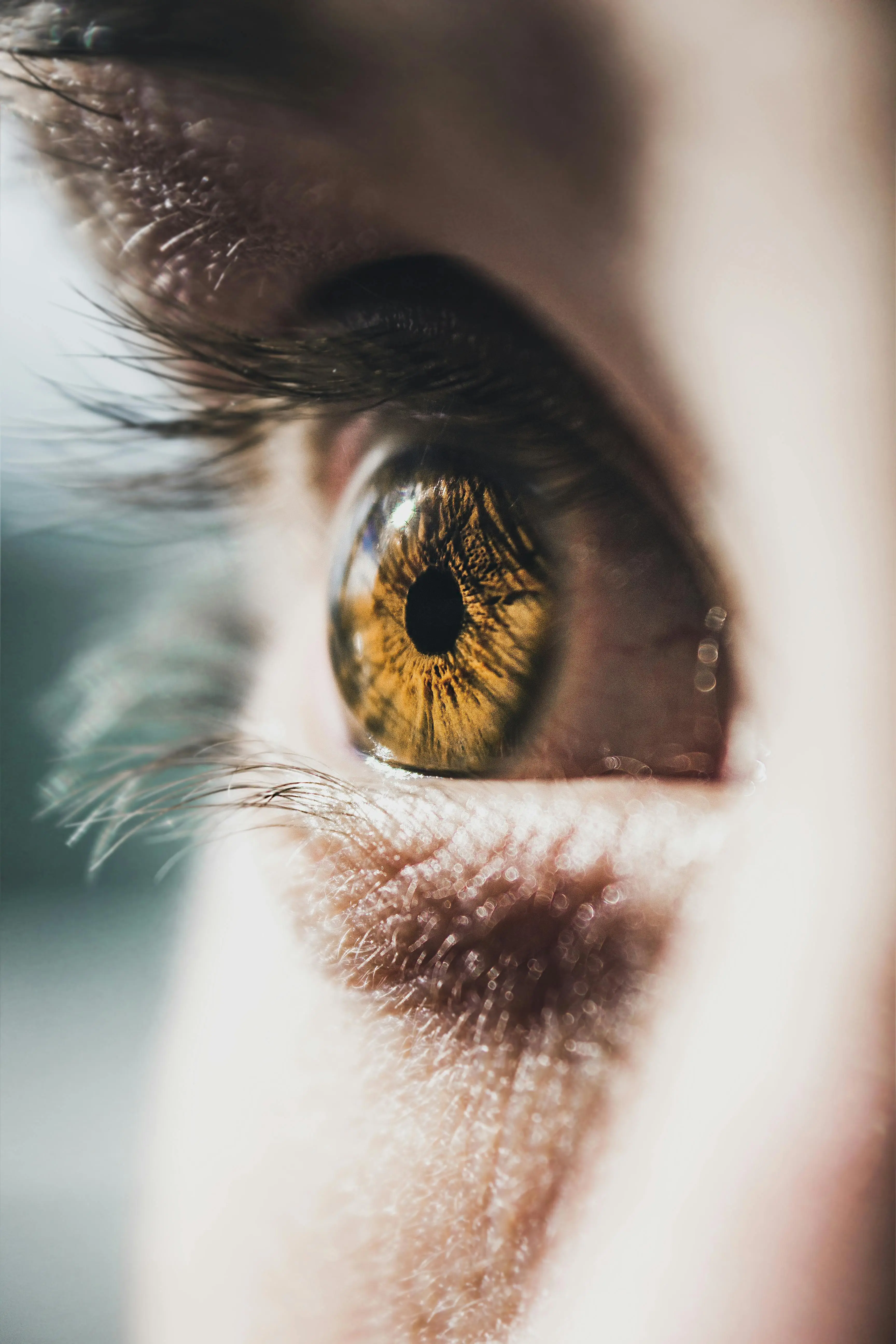 Auge in Nahaufnahme