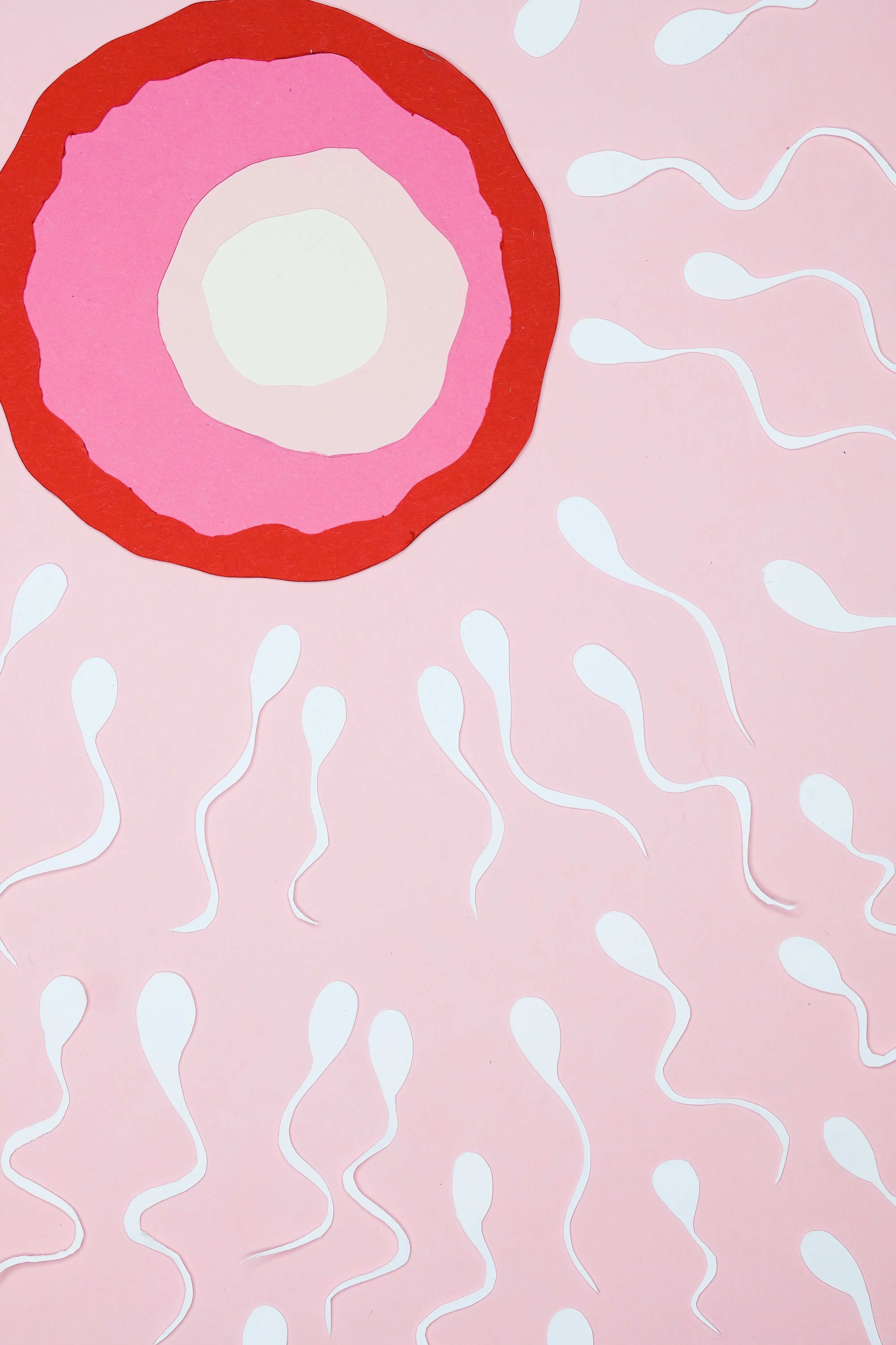 Kinderwunsch Fertilität