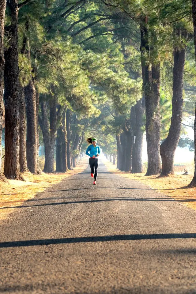 Laufen Joggen Einsteiger