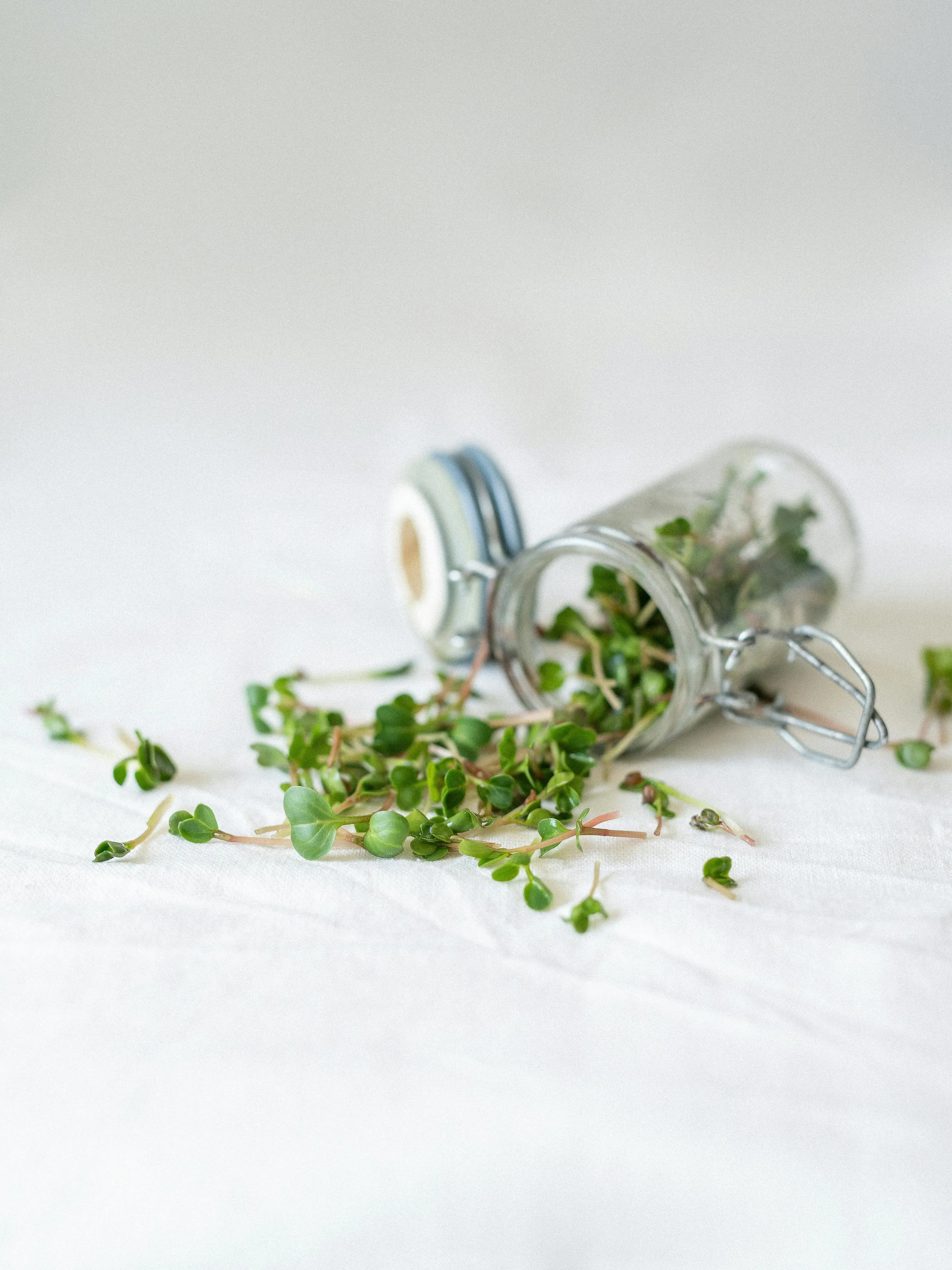 Microgreens in einem Glas