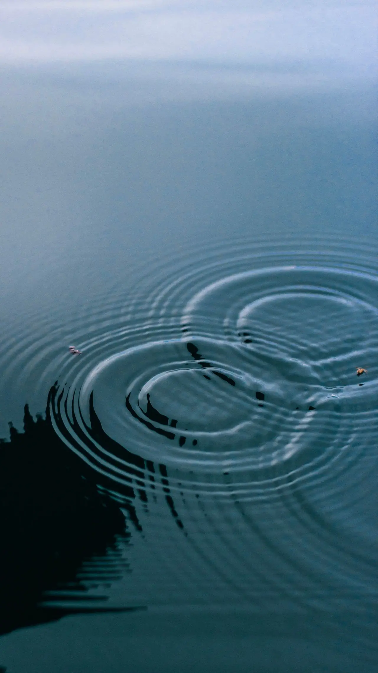 Gehirn Pause Gedächtnis Kreise auf dem Wasser Ruhe