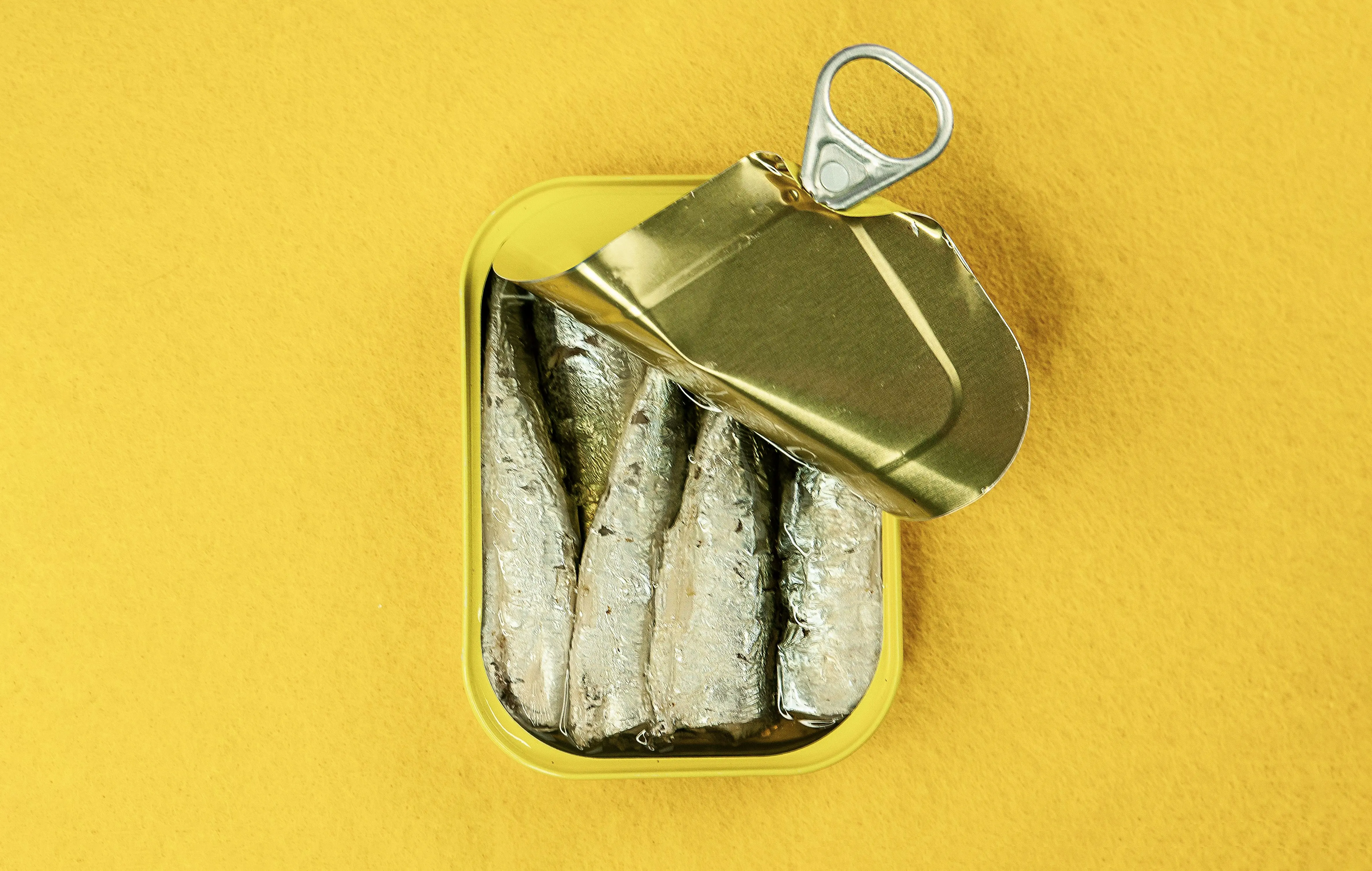 Dose Sardinen gelber Hintergrund