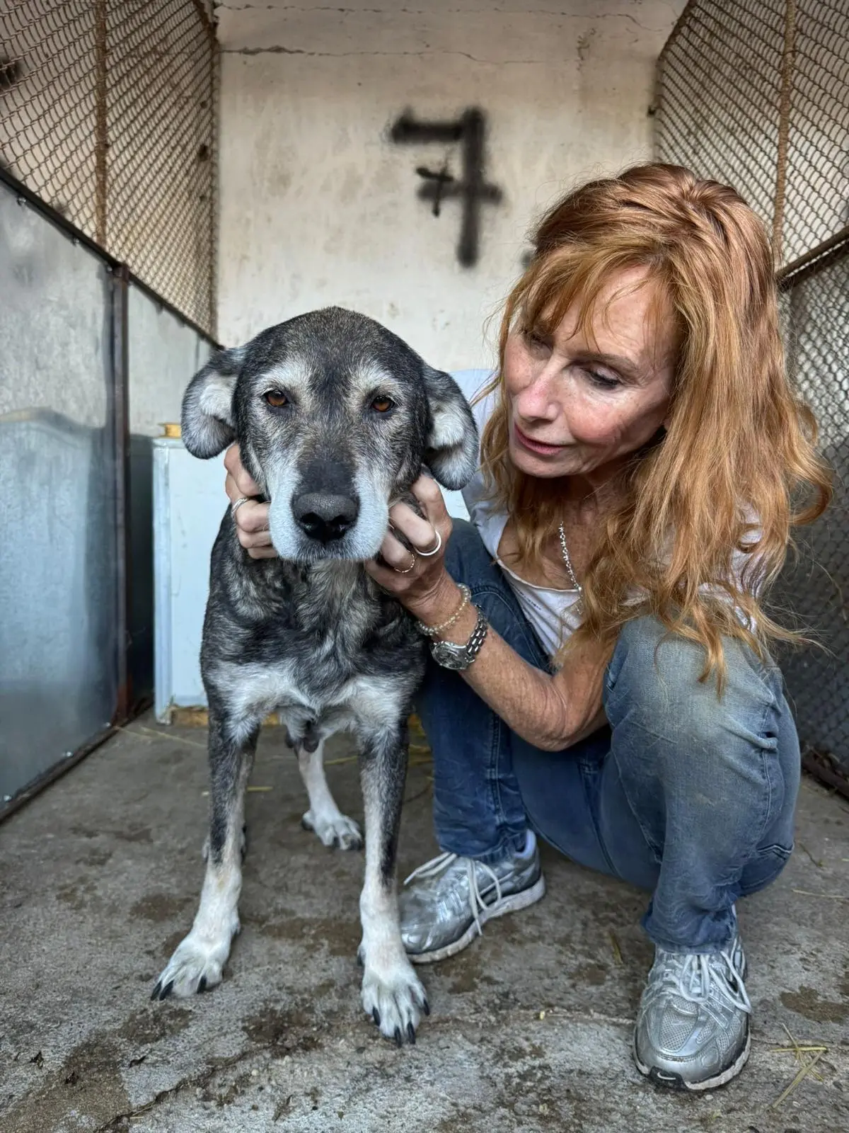 Andra Sawatzki mit Hund im Tierheim