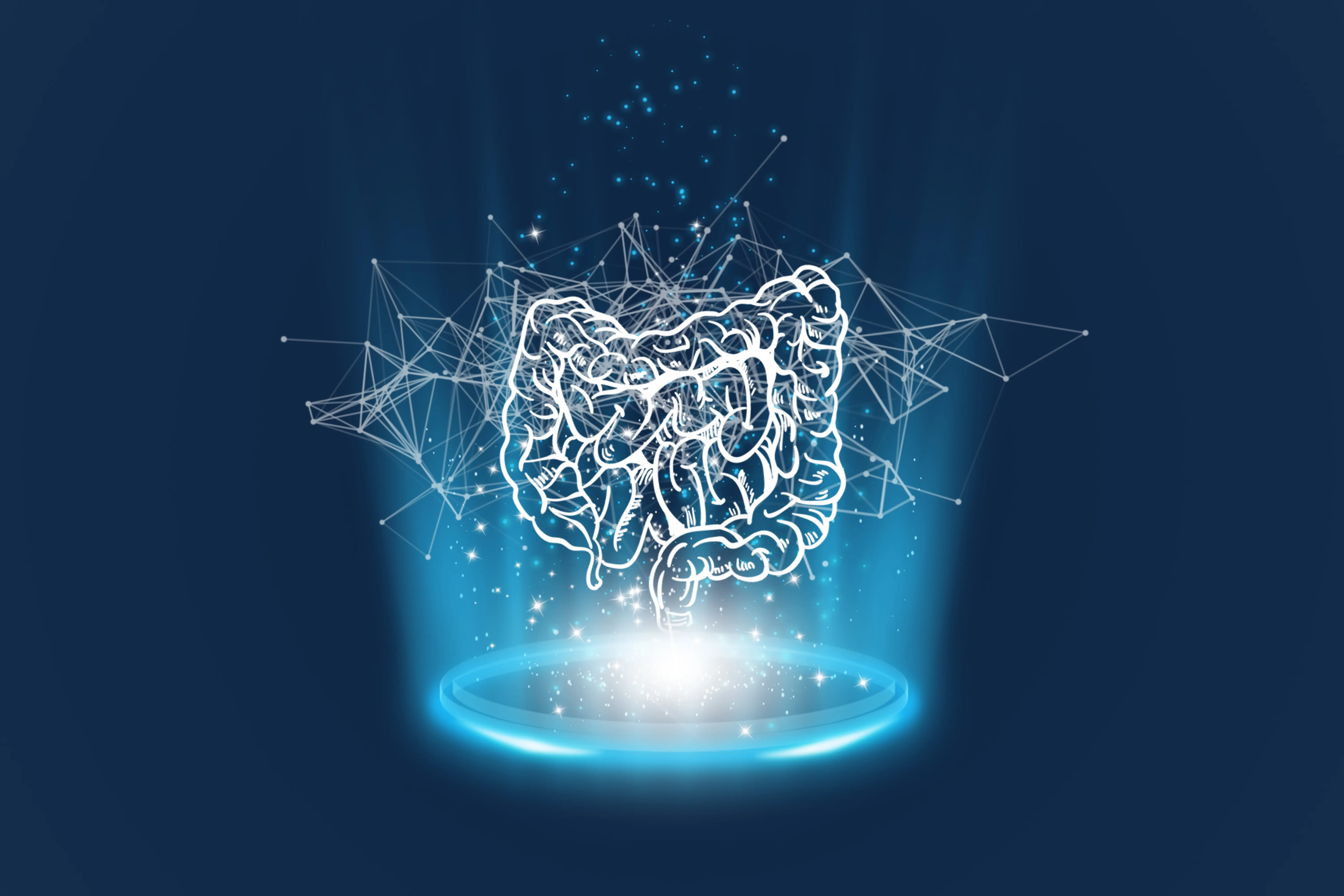 Modell des menschlichen Darms