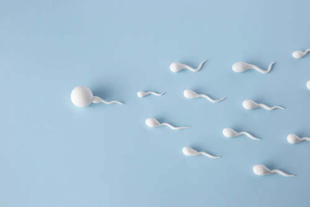 Spermien auf blauem Hintergrund